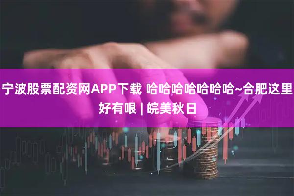 宁波股票配资网APP下载 哈哈哈哈哈哈哈~合肥这里好有哏 | 皖美秋日