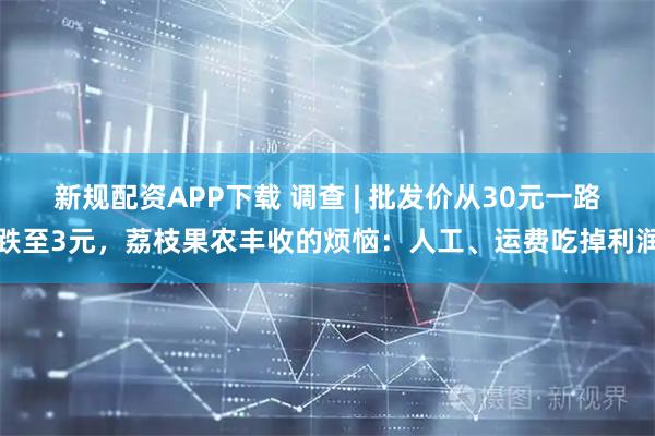 新规配资APP下载 调查 | 批发价从30元一路跌至3元，荔枝果农丰收的烦恼：人工、运费吃掉利润